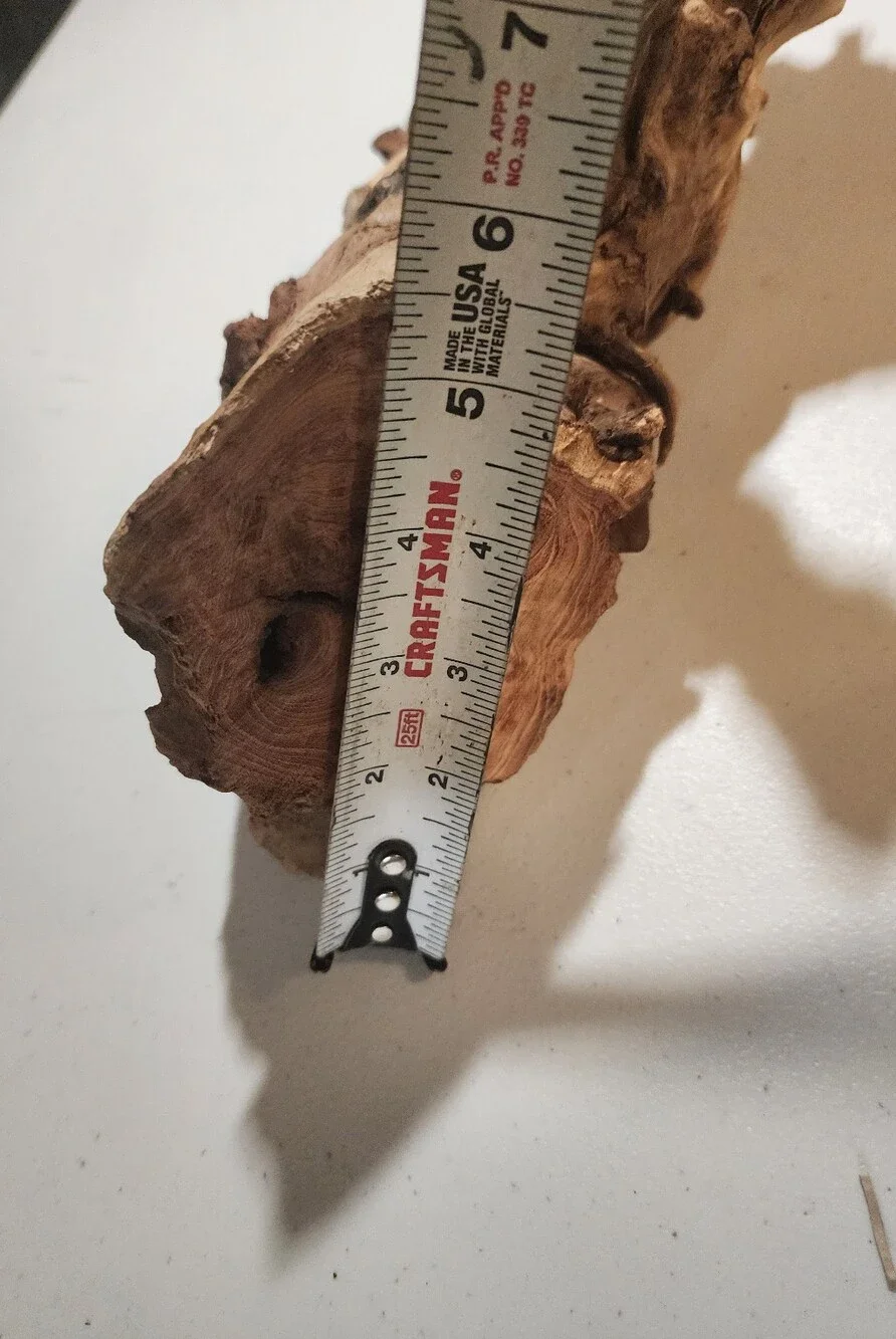 Majoywoo Natural Large Driftwood for Aquarium Decor Reptile Decor 10-15
